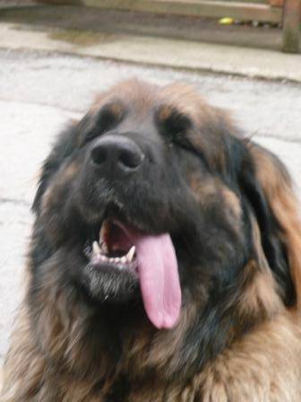 200809_Maer_9.3.2008_IHA_GRAZ_0302 