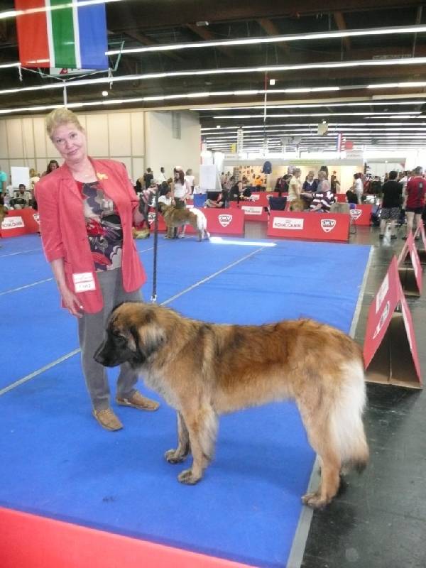 IHA_SBG_01.06.2008_1259 