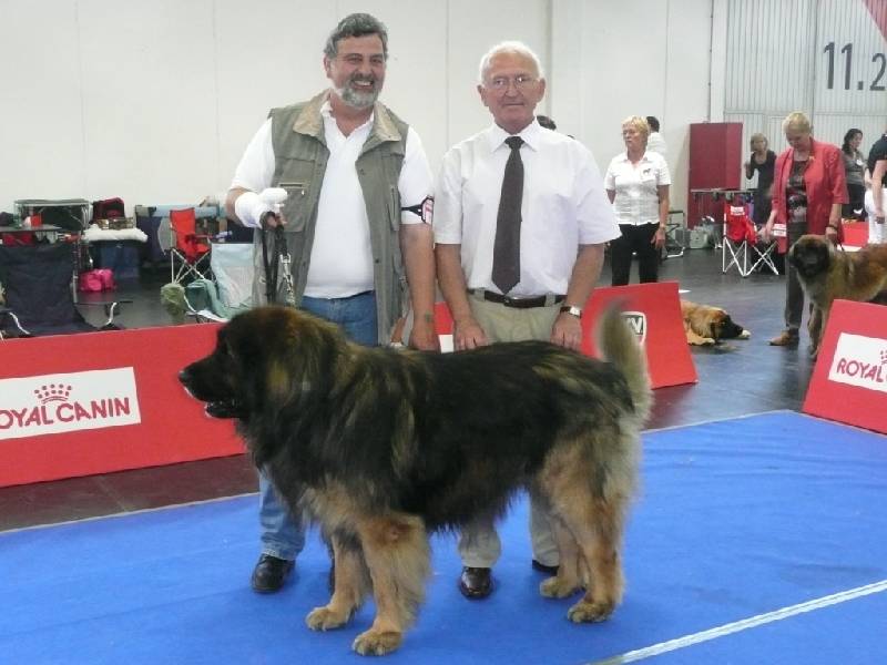 IHA_SBG_01.06.2008_1268 