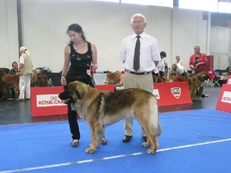 IHA_SBG_01.06.2008_1269 