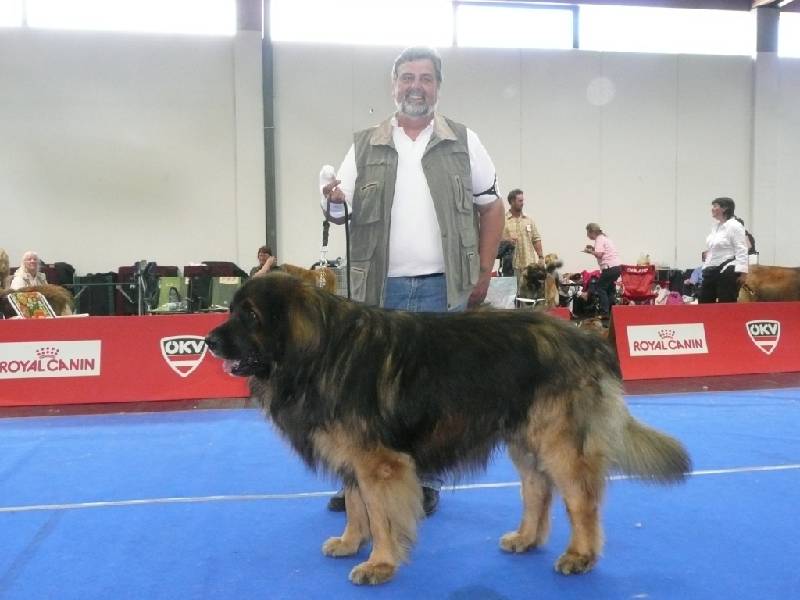 IHA_SBG_01.06.2008_1275 