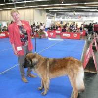 IHA_SBG_01.06.2008_1259 