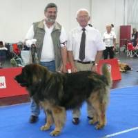 IHA_SBG_01.06.2008_1268 