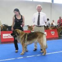 IHA_SBG_01.06.2008_1269 