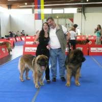 IHA_SBG_01.06.2008_1274 