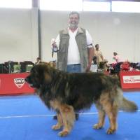 IHA_SBG_01.06.2008_1275 